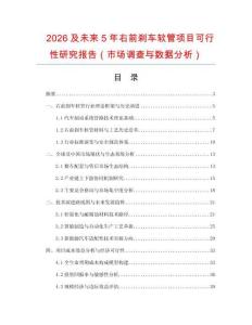 2026及未來5年右前剎車軟管項目可行性研究報告（市場調查與數據分析）