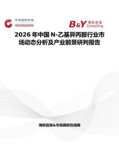 2026年中國N-乙基異丙胺行業市場動態分析及產業前景研判報告