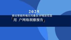 2025用戶網絡洞察報告-