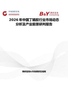 2026年中國丁睛膠行業市場動態分析及產業前景研判報告