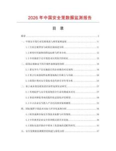 2026年中國安全籠數(shù)據(jù)監(jiān)測報告