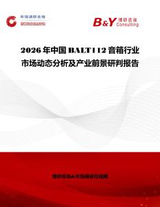 2026年中國BALT112音箱行業(yè)市場動態(tài)分析及產(chǎn)業(yè)前景研判報告