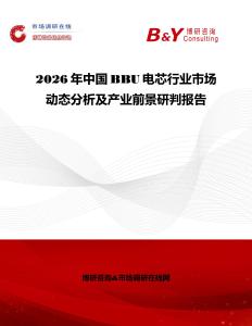 2026年中國BBU電芯行業(yè)市場動態(tài)分析及產(chǎn)業(yè)前景研判報告