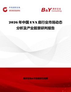 2026年中國EVA底行業(yè)市場動態(tài)分析及產(chǎn)業(yè)前景研判報告