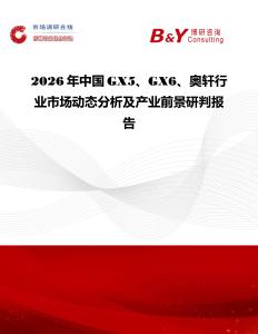 2026年中國GX5、GX6、奧軒行業市場動態分析及產業前景研判報告