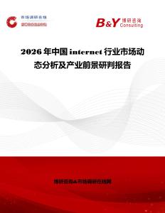 2026年中國internet行業(yè)市場動態(tài)分析及產業(yè)前景研判報告