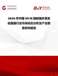 2026年中國MVR強(qiáng)制循環(huán)蒸發(fā)結(jié)晶器行業(yè)市場動態(tài)分析及產(chǎn)業(yè)前景研判報告