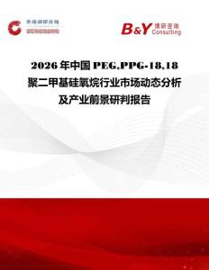 2026年中國PEGPPG-1818 聚二甲基硅氧烷行業(yè)市場動態(tài)分析及產(chǎn)業(yè)前景研判報告