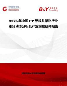2026年中国PP无规共聚物行业市场动态分析及产业前景研判报告