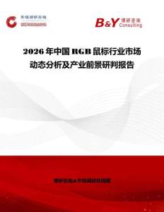 2026年中國RGB鼠標行業市場動態分析及產業前景研判報告