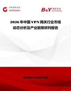 2026年中國VPN網(wǎng)關行業(yè)市場動態(tài)分析及產(chǎn)業(yè)前景研判報告