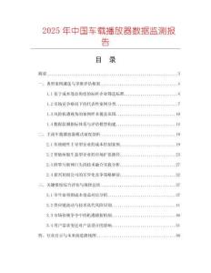 2025年中國車載播放器數據監測報告