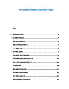 鋼鐵行業(yè)投資風險分析及融資策略研究報告