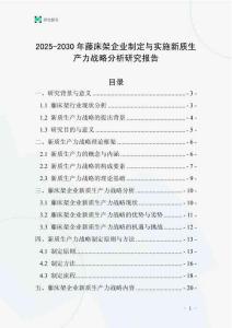 2025-2030年藤床架企業制定與實施新質生產力戰略分析研究報告