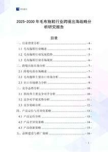 2025-2030年毛布拖鞋行業跨境出海戰略分析研究報告