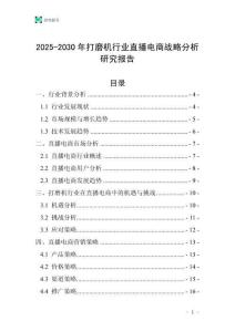 2025-2030年打磨機行業(yè)直播電商戰(zhàn)略分析研究報告