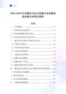 2025-2030年內藏式閃光燈裝置行業直播電商戰略分析研究報告