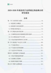 2025-2030年刷皮機行業跨境出海戰略分析研究報告