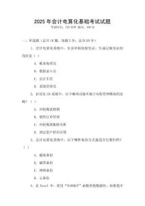 2025年會計電算化基礎考試試題