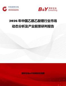 2026年中國乙酰乙酸鋰行業(yè)市場動態(tài)分析及產(chǎn)業(yè)前景研判報告