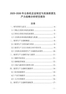 2025-2030年公務機企業制定與實施新質生產力戰略分析研究報告