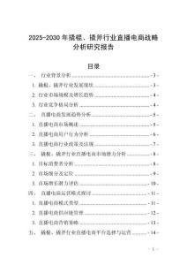 2025-2030年撬棍、撬斧行業直播電商戰略分析研究報告