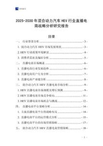 2025-2030年混合動力汽車HEV行業直播電商戰略分析研究報告