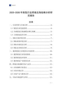 2025-2030年制氫行業(yè)跨境出海戰(zhàn)略分析研究報告