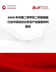 2026年中國二苯甲烷二異氰酸酯行業市場動態分析及產業前景研判報告