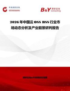 2026年中国云OSS BSS行业市场动态分析及产业前景研判报告