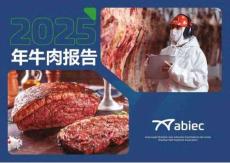 2025年牛肉報告
