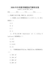 2026年中考数学解题技巧解析试卷