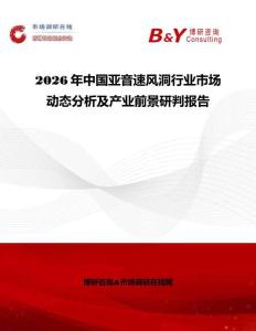 2026年中国亚音速风洞行业市场动态分析及产业前景研判报告