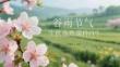 谷雨节气生机盎然课件 PPT