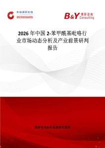 2026年中國(guó)2-苯甲?；量┬袠I(yè)市場(chǎng)動(dòng)態(tài)分析及產(chǎn)業(yè)前景研判報(bào)告