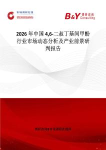 2026年中國46-二叔丁基間甲酚行業市場動態分析及產業前景研判報告
