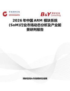 2026年中國ARM 模塊系統(tǒng) (SoM)行業(yè)市場動態(tài)分析及產(chǎn)業(yè)前景研判報告