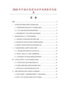 2025年中國定型清潔球市場調(diào)查研究報告