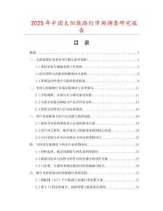 2025年中國太陽能路燈市場調(diào)查研究報告