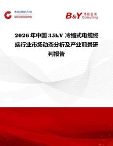 2026年中國35kV 冷縮式電纜終端行業市場動態分析及產業前景研判報告