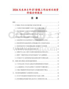 2026及未來5年CT影像工作站項目投資價值分析報告
