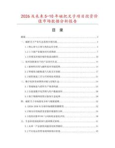 2026及未來5-10年磁把叉子項目投資價值市場數據分析報告