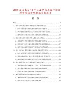 2026及未來5-10年云母電熱元器件項目投資價值市場數據分析報告
