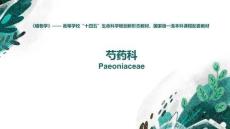 《植物學(xué)（第2版）》課件 13-1-4  13.芍藥科