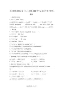 2025-2026学年统编版六年级下册小升初模拟测试语文试卷（二）【含答案解析】