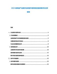 2025哈呀迪產(chǎn)業(yè)數(shù)字化轉(zhuǎn)型升級項目實施效果評價分析報告