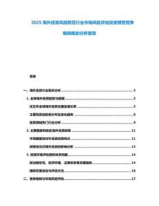 2025海外投資風險防范行業(yè)市場風險評估投資預警競爭格局規(guī)劃分析報告