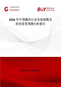 2026年中國鏍絲行業(yè)市場規(guī)模及投資前景預(yù)測分析報告
