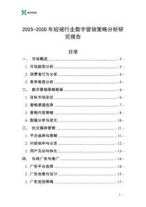 2025-2030年短裙行業(yè)數(shù)字營銷策略分析研究報(bào)告