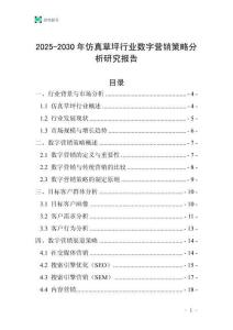 2025-2030年仿真草坪行業(yè)數(shù)字營銷策略分析研究報告